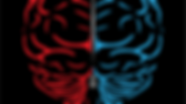 You Are Not Two Graphics 