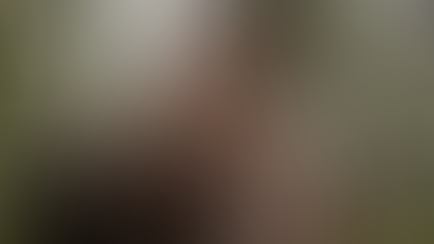 A little preview