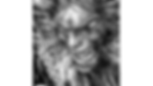 Misbegotten Crusader