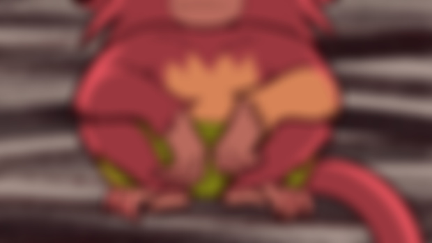 Chapter 05: Companion 
