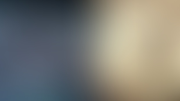 Next animation: Gato / Papa