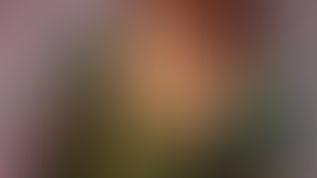 Triss Merigold (DLC Dress, The Witcher 3) - Full Cosplay Set