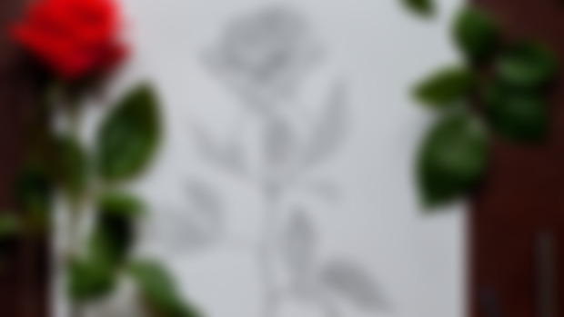 A Rose for Taurus