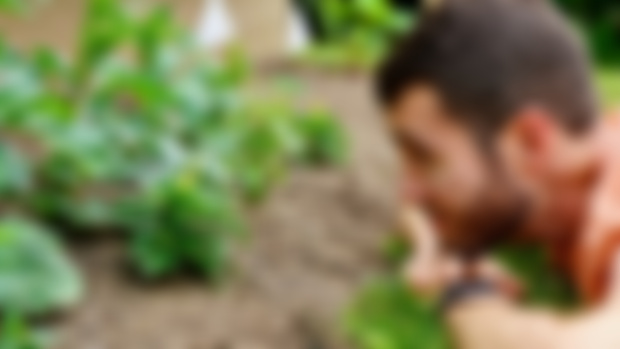 A Tiny 'Medusa' Pepper