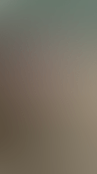 Forest GIF. 