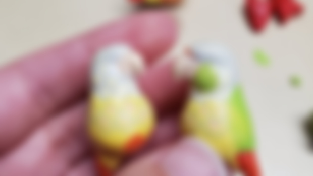 Conure charms