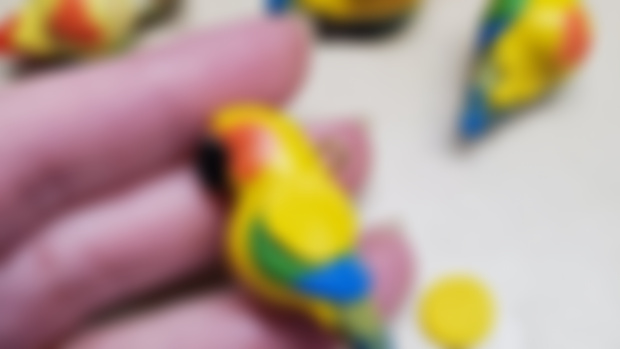 The first sunflower conure charms 