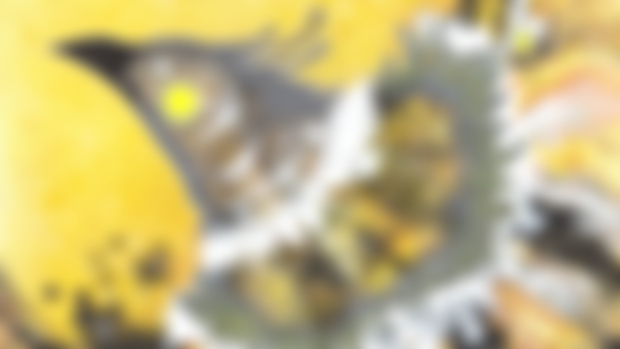 New Art: Fool's Gold & Cryptidae