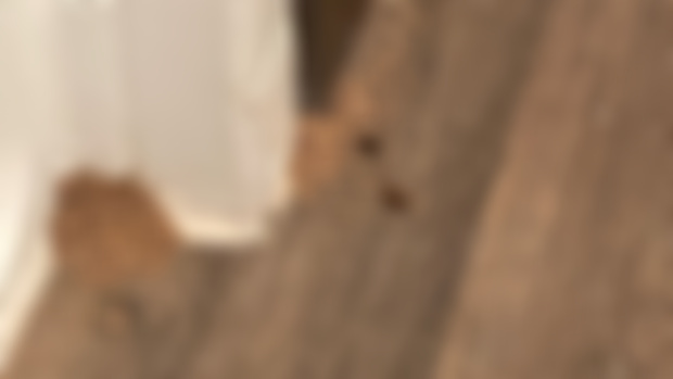 Photos for [ACOB] Episode 49