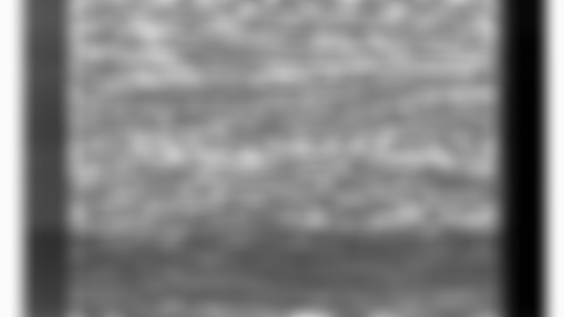 // WORKSHOP READING MATERIALS// A Sea of Data: Apophenia and Pattern (Mis-)Recognition