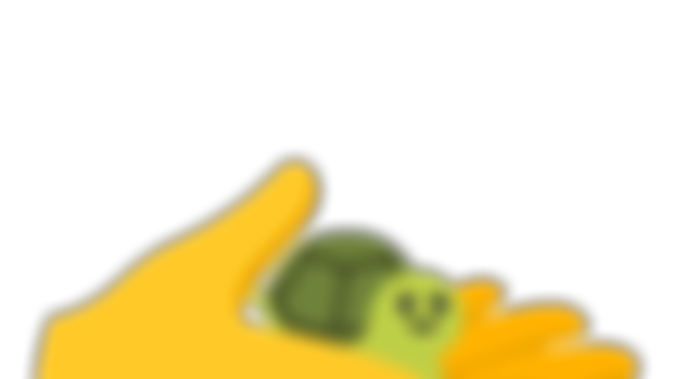 7-31-2023 Queued Turtle