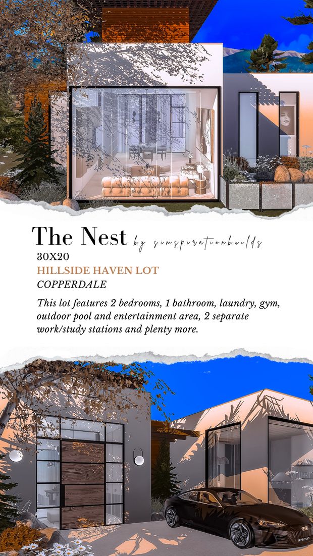 The Nest | Patreon
