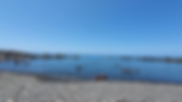 Beach day. 