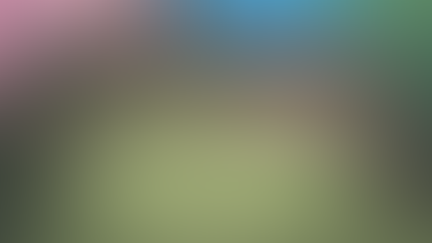 DoA 2 Backgrounds