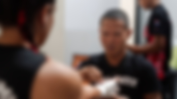 Professional Handwraps 