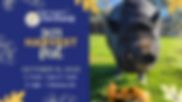 ✉️ You're invited: Only Sunshine Sanctuary's Harvest Fest