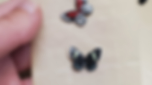 Tiny 88s