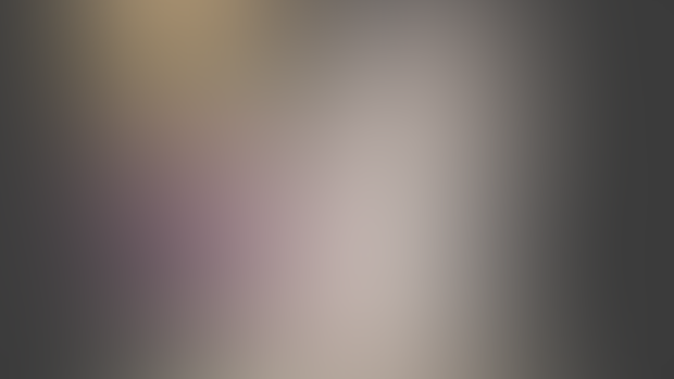 [0.3 Log] Rose, Sheep, Town Interior
