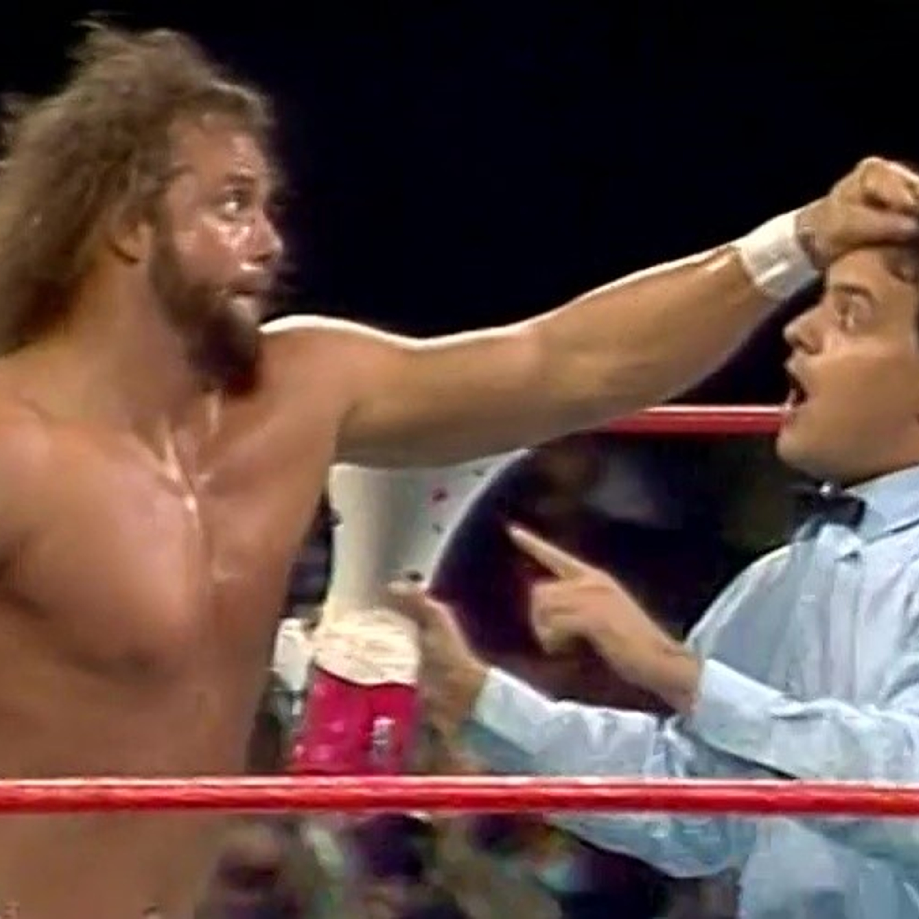 [PREVIEW] EARLY ACCESS - WMG Episode #101- NOVEMBER 1987 WWF NEWS & RESULTS episode artwork