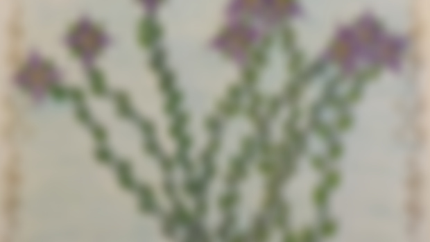 Tier 8 September 2023 - Fields