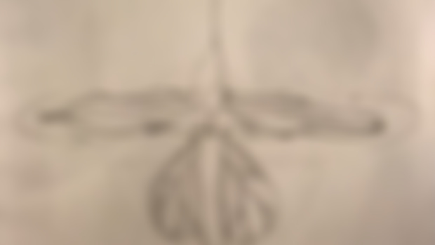 First Sky World Organism