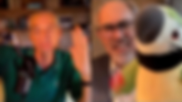 Parrot Room: Parrot Parties Hearty (audio)