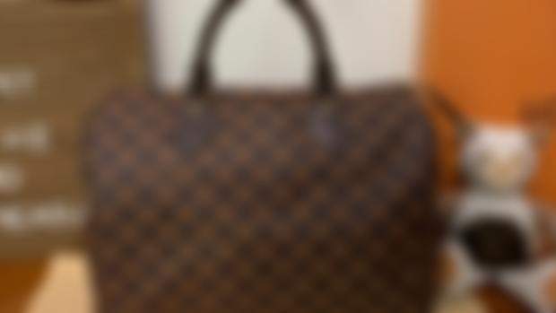 Louis Vuitton Damier Ebene Speedy 30 - Meme's Treasures