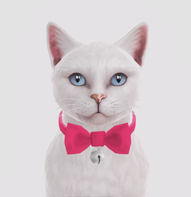 sims 4 Pet dump by deepmoon