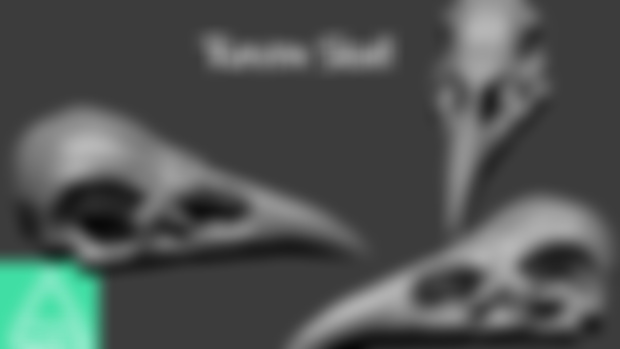 Raven Skull (3D File)