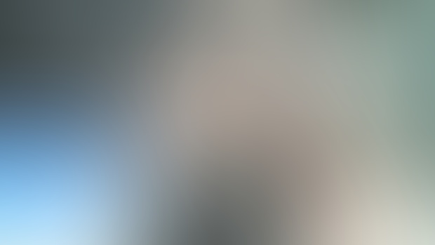 PHOTOS + UPDATES + MANY THINGS
