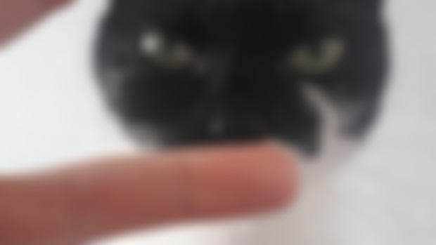 ха