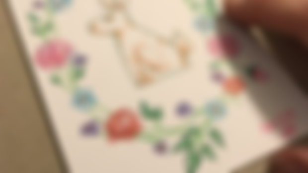 From the Vault: Patreon Postcards 2019!