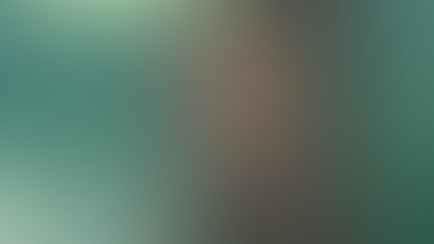 🌱🏛️P&P AU wallpapers