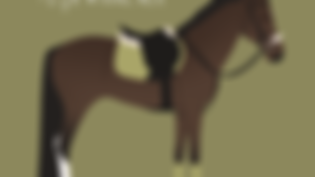 Project Pony Concept
