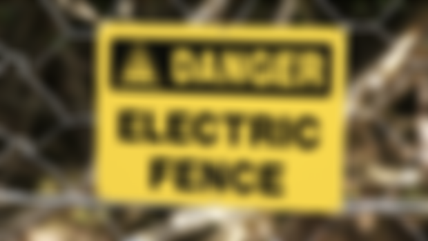 Electric Fences and Vicarious Trauma