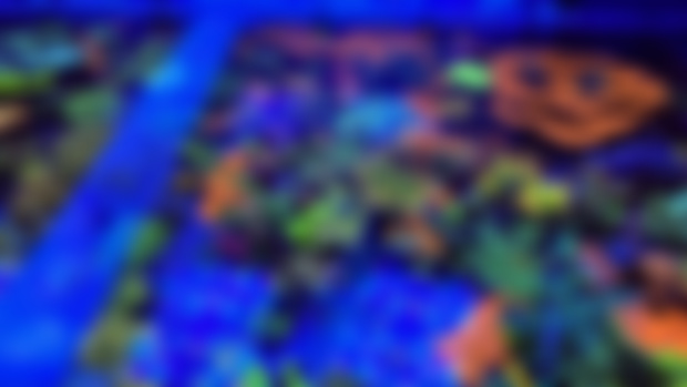 Buying a Crazy Coral Collection