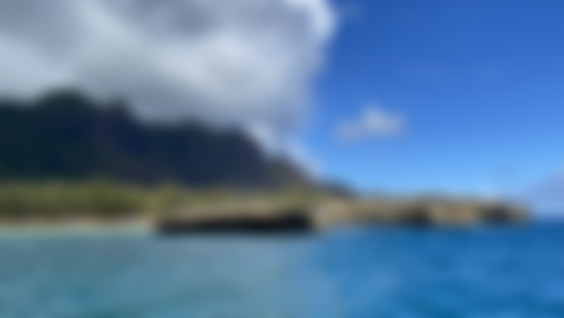 Scenic video in the works