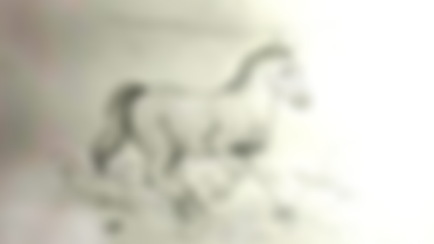 Hippidion sketch