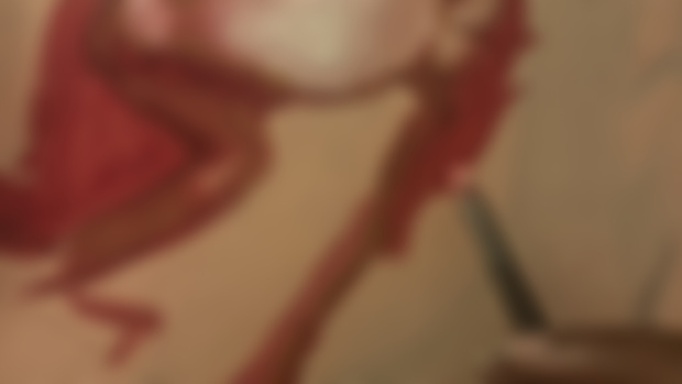 Work in Progress photos! 