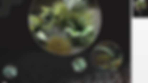 Tutorial - Jungle Bases
