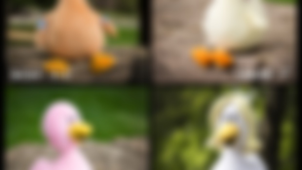 Plush Kickstarter (with the right link this time)
