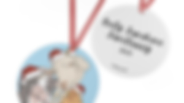 $10 Ornaments Exclusive to Patrons!