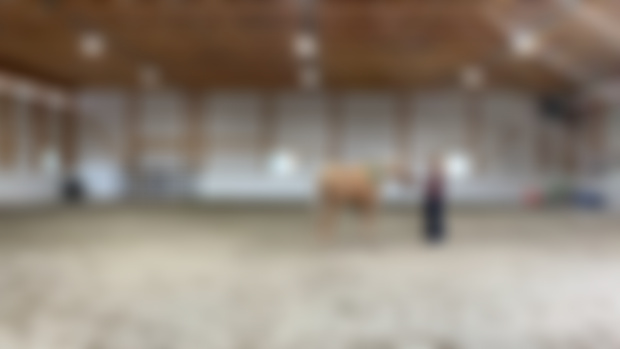 A horse that ‘tunes out’ 