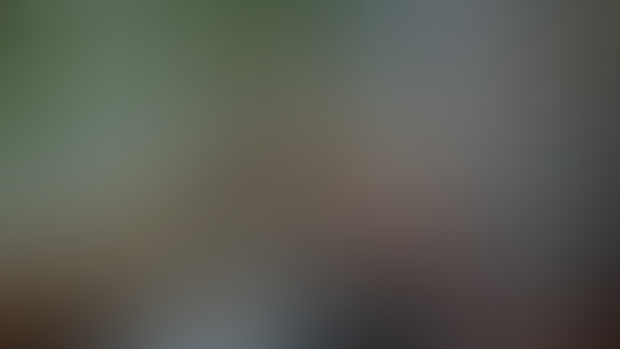 I continue to work on VN