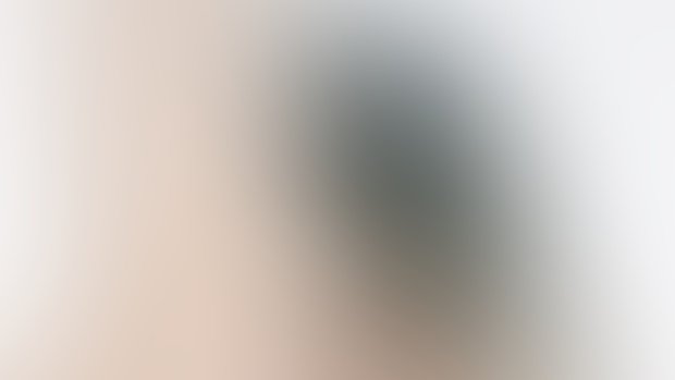 NN Pt. XXXI