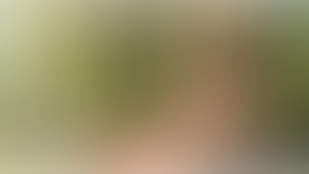 E53 - Raphtalia | Shield Hero - 4k ZIP