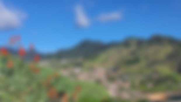 Machico in the sunshine