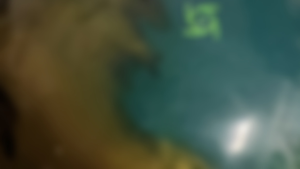 Sneak Peak