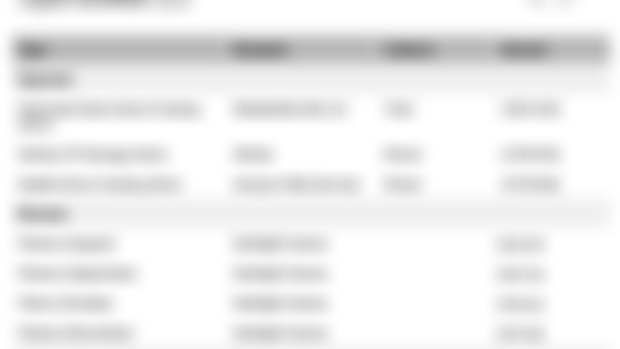 August - November Financial Report