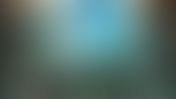 A Sneak Peek